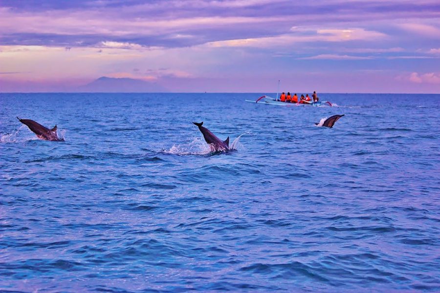 Bali Tour Program 5 Days 4 Nights – D