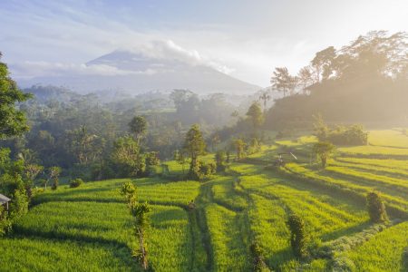 7 Best Hikes in Bali: Volcanoes, Waterfalls and Jungles