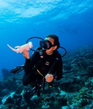 I’m from Vietnam native I have been living & working in Indonesia for 9 years. I like to travel so I used to move a lot: from Asia to Central America. I believe everyone should be taking the whole advantage of travel: on land and underwater, though I like to be at my underwater office as much as I can :) Besides, I’m a foodie and a bookworm.