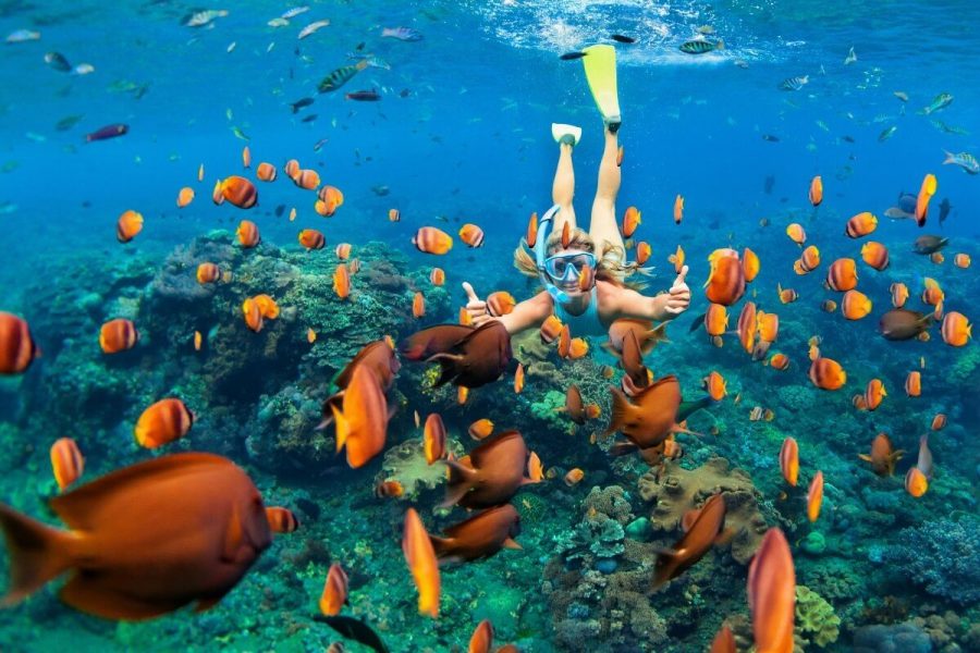 Padangbai Snorkeling