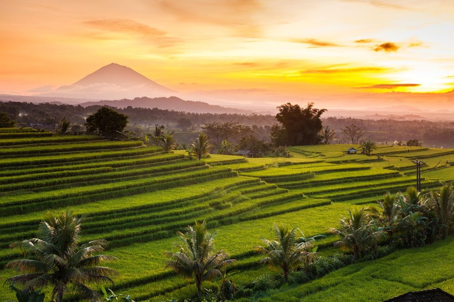 Ulun Danu Temple, Jatiluwih Rice Terraces and Tanah Lot Tour