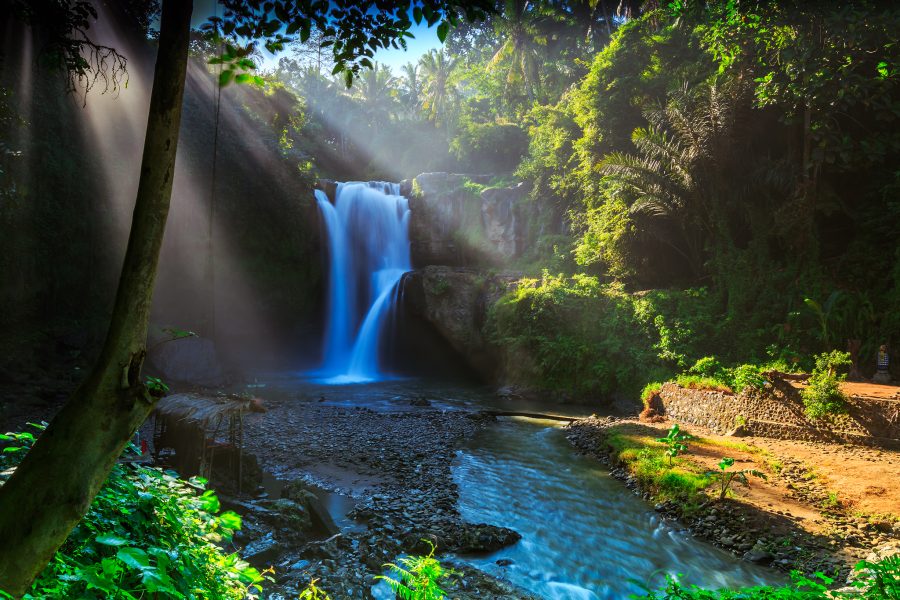 Best of Ubud Tour