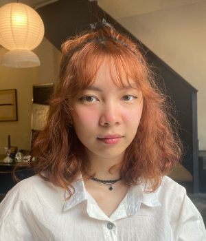 Nguyen Hoang Anh Thu